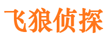 岳普湖飞狼私家侦探公司